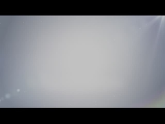 أعرض الشركة