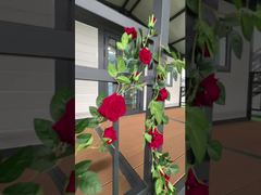 منزل قابل للطي بمظلة 20 قدمًا